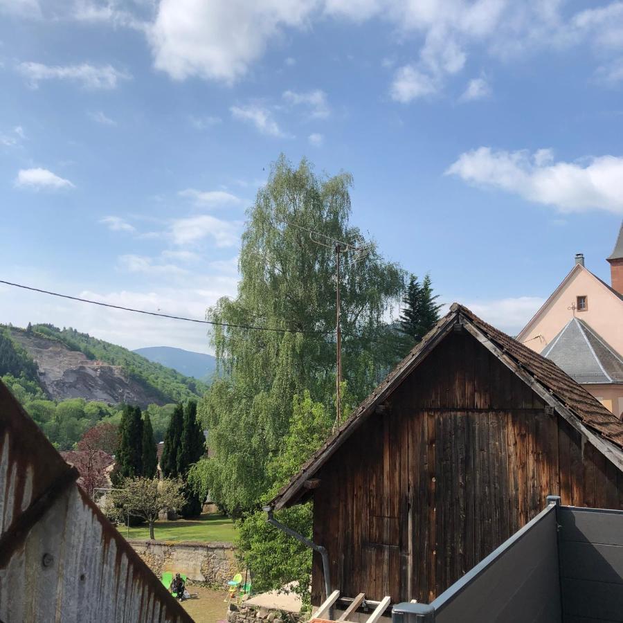 L Atypik A L Ancienne Forge Apartment Muhlbach-sur-Munster Bagian luar foto